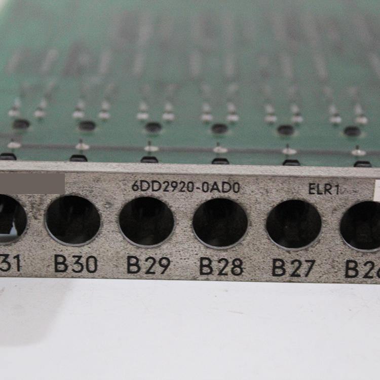 SIEMENS 6DD2920-0AD0 Board - Pulingma Automation